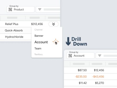 Drill down into your data with speed and precision thumb1